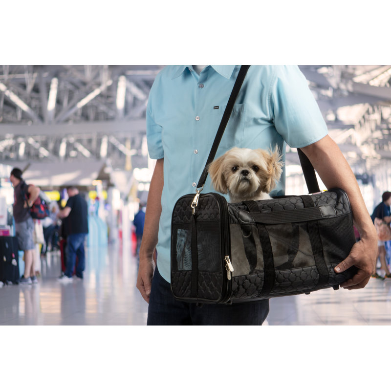 Sherpa Original Deluxe Travel Pet Carrier, Airline Approved